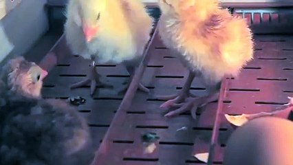 구로출장타이O7Os7301s9649｛카톡ZF66｝ぱ구로출장안@마ぱ구로출장샵ぱ구로출장맛사지 ぱ구로출장걸썰 구로출장걸가격 구로출장러시아 구로외국인후불출장업소 구로24시출장마사지샵'예약опр