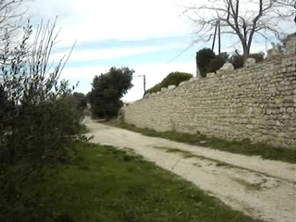 MOV03363