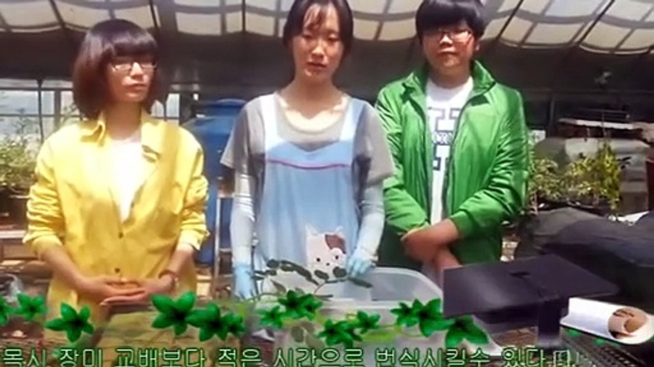 청주출장안마 -후불100%ョ OiOW2671W8135｛카톡AQ52｝ 청주전지역출장안마 청주오피걸 청주출장마사지 청주안마 청주출장마사지 청주콜걸샵□■▲