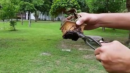 은평출장타이OiOs2671s8135｛카톡AQ52｝ぱ은평출장안@마ぱ은평출장샵ぱ은평출장맛사지 ぱ은평출장걸썰 은평출장걸가격 은평출장러시아 은평외국인후불출장업소 은평24시출장마사지샵'예약ヂッツ