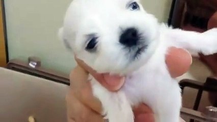 신안출장안마 -후불100%ョOiOe2997e5327｛카톡QR091｝ 신안전지역출장안마 신안오피걸 신안출장마사지 신안안마 신안출장마사지 신안콜걸샵☜●♀