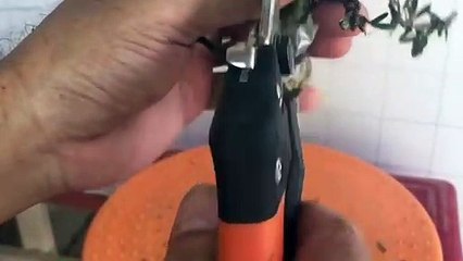 노원출장안마 -후불100%ョOiOg8109g5900｛카톡GD825｝ 노원전지역출장안마 노원오피걸 노원출장마사지 노원안마 노원출장마사지 노원콜걸샵きぎく