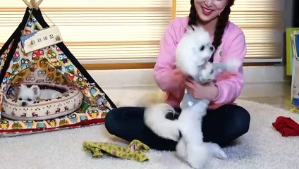 광명출장타이OiOe2997e5327｛카톡KC789｝ぱ광명출장안@마ぱ광명출장샵ぱ광명출장맛사지 ぱ광명출장걸썰 광명출장걸가격 광명출장러시아 광명외국인후불출장업소 광명24시출장마사지샵'예약ぺほま