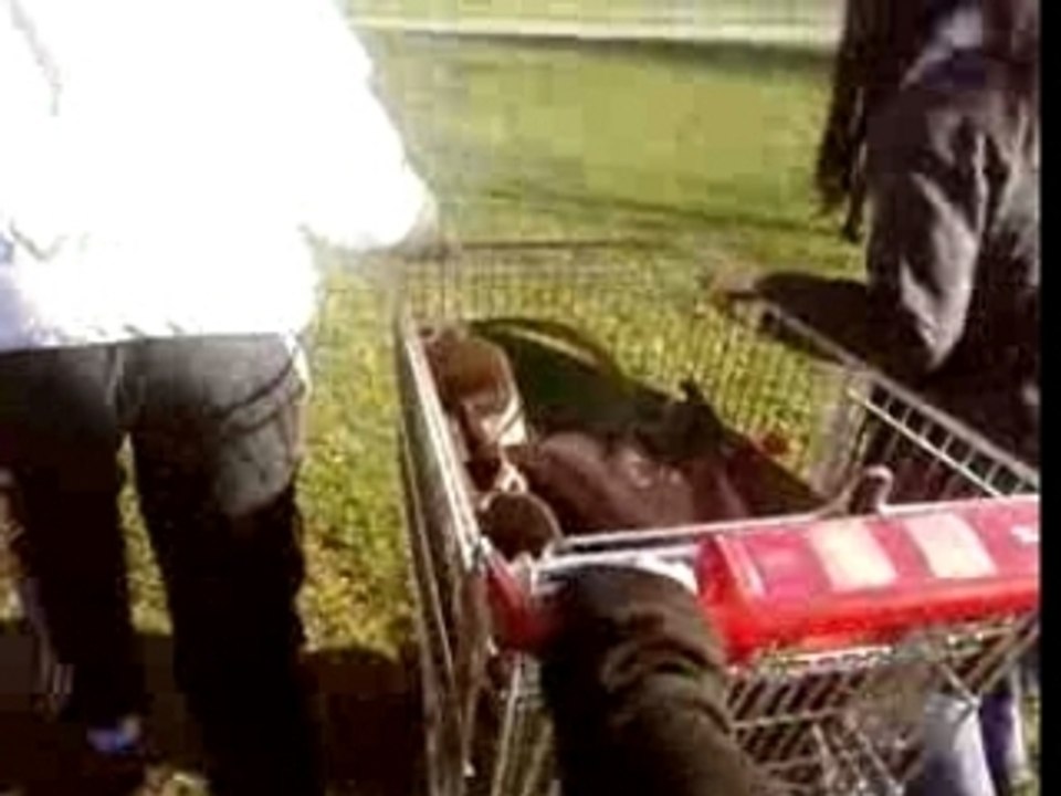 HABIBA EST SA FAMILLE MDR