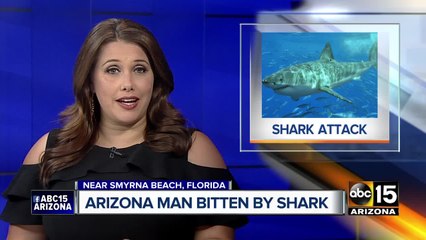 Arizona man bitten by shark