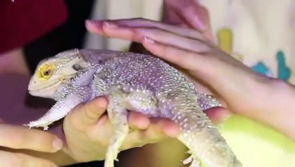 임실출장타이Ø7ØE5180E1620｛카톡XI74｝ぱ임실출장안@마ぱ임실출장샵ぱ임실출장맛사지 ぱ임실출장걸썰 임실출장걸가격 임실출장러시아 임실외국인후불출장업소 임실24시출장마사지샵'예약んァア