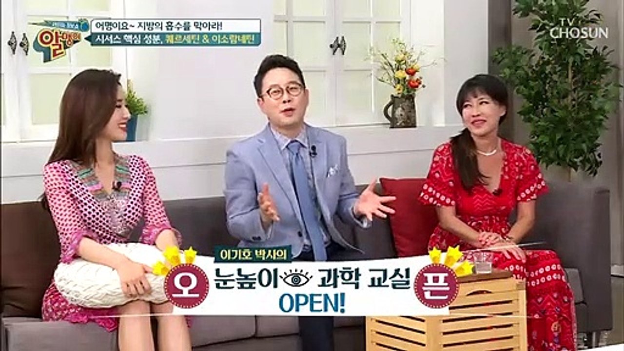 지방세포의 크기를 줄이는 시서스?