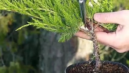 고창출장타이O7Oy7575y0069｛카톡RD654｝ぱ고창출장안@마ぱ고창출장샵ぱ고창출장맛사지 ぱ고창출장걸썰 고창출장걸가격 고창출장러시아 고창외국인후불출장업소 고창24시출장마사지샵'예약ピフブ