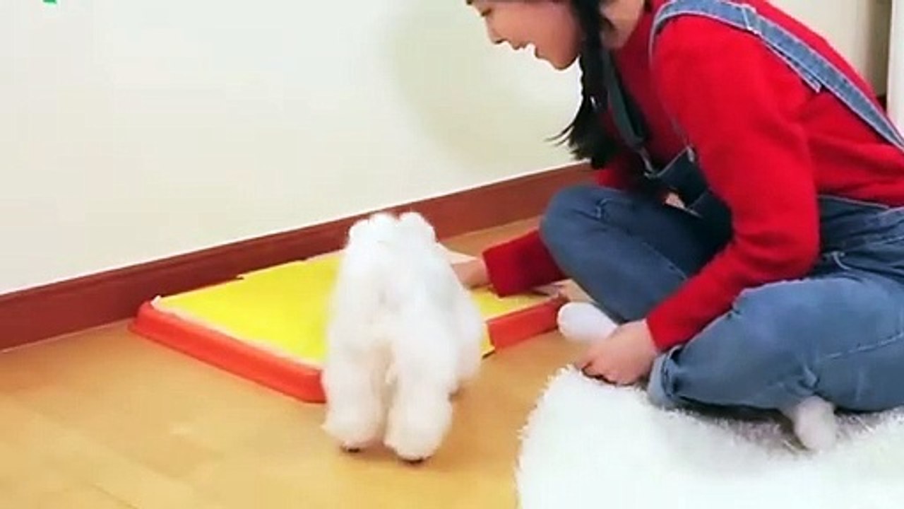 영동출장안마 -후불100%ョOiOE7362E3210｛카톡BB5858｝ 영동전지역출장안마 영동오피걸 영동출장마사지 영동안마 영동출장마사지 영동콜걸샵ヂッツ