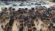 Çubuk'taki hayvan pazarında 'kurban' hareketliliği başladı - ANKARA