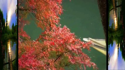 Günü Sev Yarını Yaşa ٭٭ yazan  seslendiren  video ٭٭Aynur AVCI