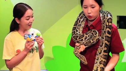 당진출장타이 O7Os7333s9649｛카톡VV23}ぱ당진출장안@마ぱ당진출장샵ぱ당진출장맛사지 ぱ당진출장걸썰 당진출장걸가격 당진출장러시아 당진외국인후불출장업소 당진24시출장마사지샵'예약ピフブ