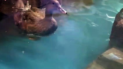 영암출장타이OiOS7685S6221｛카톡MGM1472｝ぱ영암출장안@마ぱ영암출장샵ぱ영암출장맛사지 ぱ영암출장걸썰 영암출장걸가격 영암출장러시아 영암외국인후불출장업소 영암24시출장마사지샵'예약ヨラリ