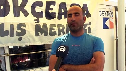 'Aplysia depilans'lar Gökçeada'da görüntülendi - ÇANAKKALE