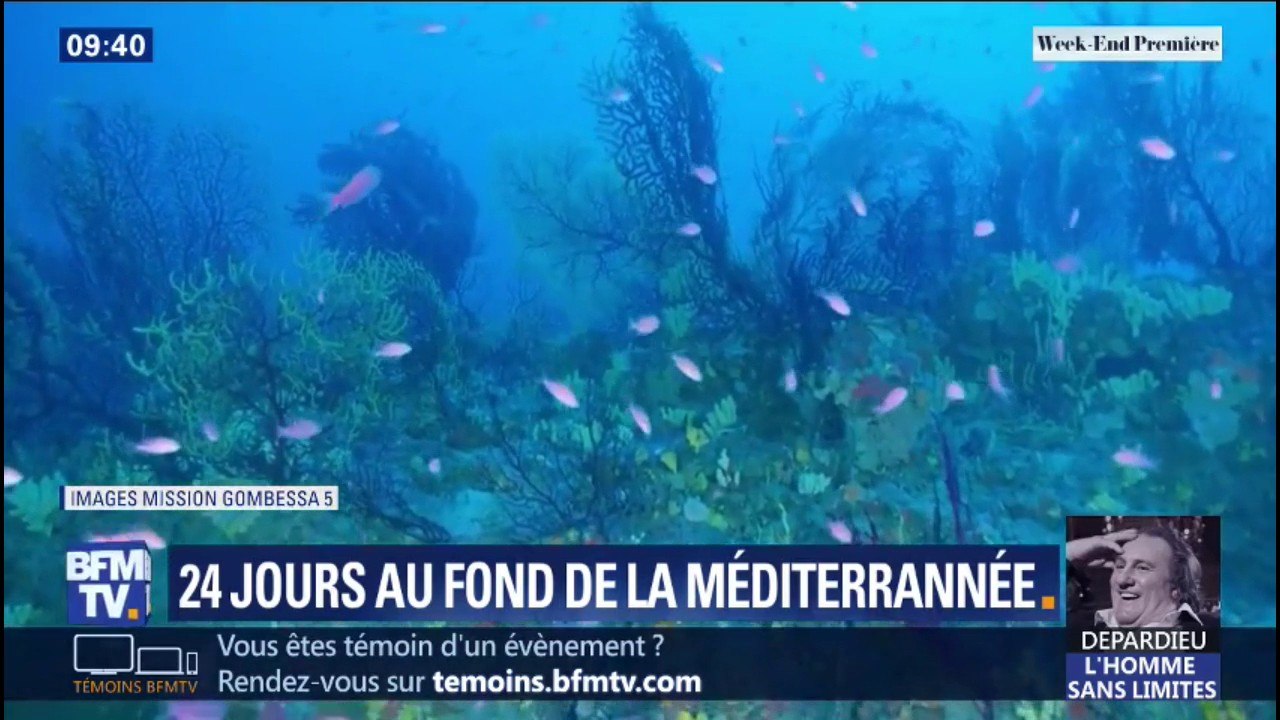 Les quatre plongeurs de la mission "Planète Méditérranée" vont remonter sur terre ce dimanche