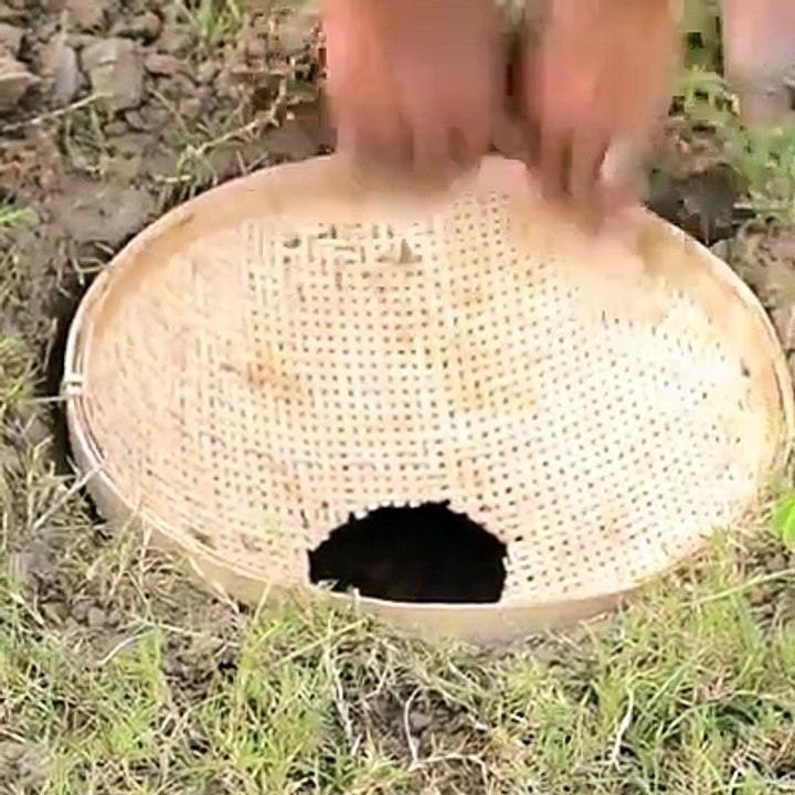Amazing Hole Fish Trap