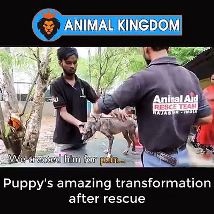 The world needs more people like you﻿