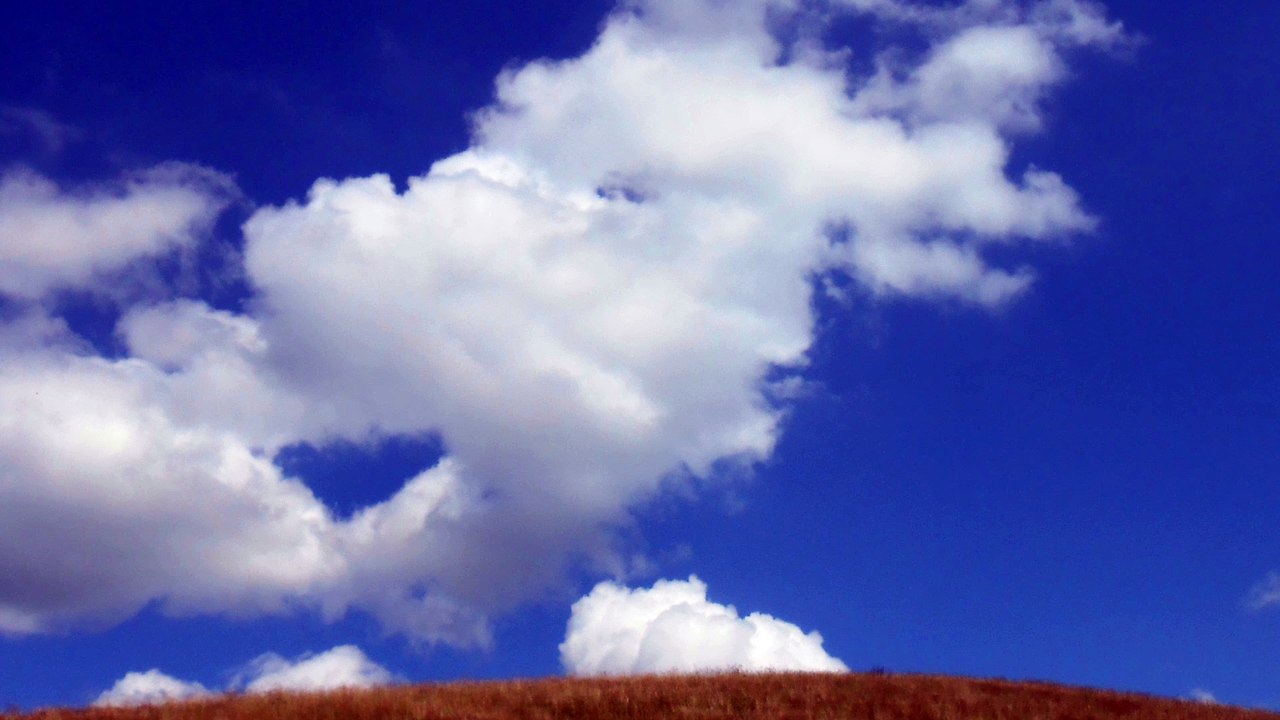 Ertragen statt streiten