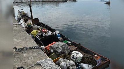 선원 3명 탄 北 소형목선 동해 NLL 월선..."항로 착오" / YTN