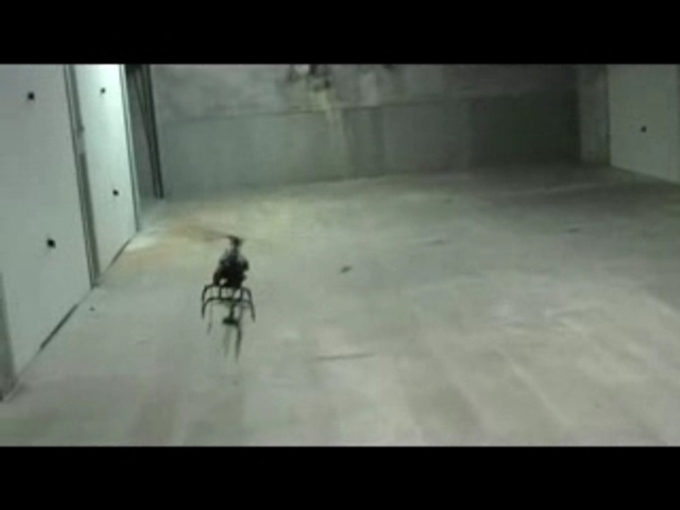 Honey bee fp premier vol