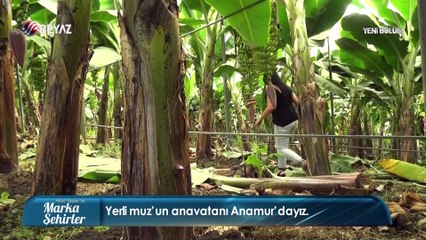 Marka Şehirler 28 Temmuz 2019