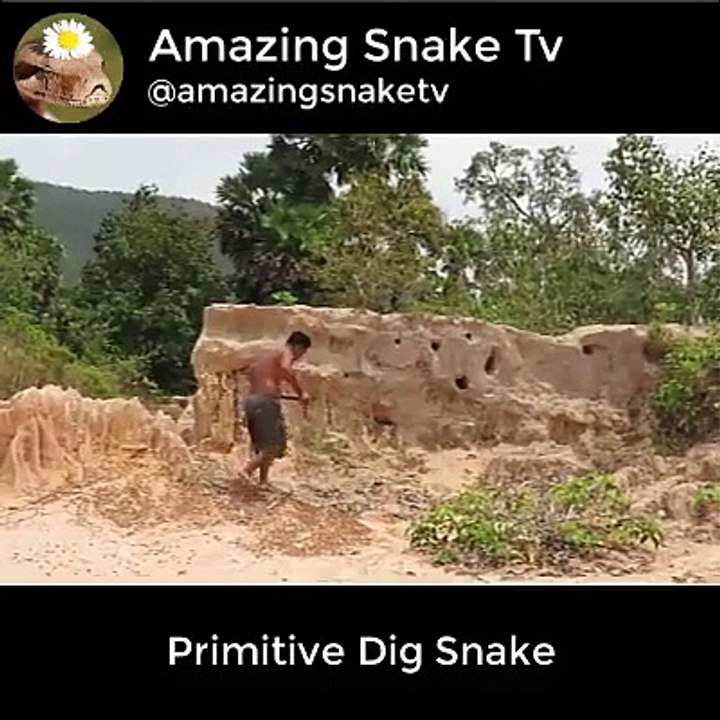 Primitive Dig Snake in snake hole
