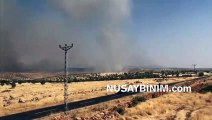 Nusaybin - Midyat Bagok dağında yangın çıktı