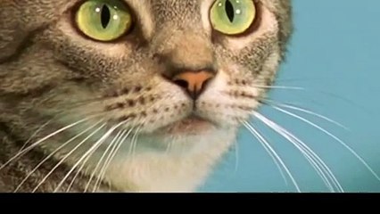 달서출장안마 -후불100%ョØ7ØE5180E1617｛카톡MAS91｝ 달서전지역출장안마 달서오피걸 달서출장마사지 달서안마 달서출장마사지 달서콜걸샵ゃやゅ