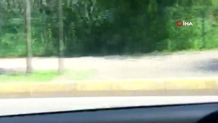 Ordu'da inanılmaz görüntü...Koltuk takımının otomobil üzerinde böyle taşıdılar