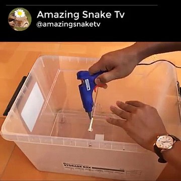 Good idea Rat Trap Too Many Mice in Trapped You Can Try Best Mouse Trap House Mice