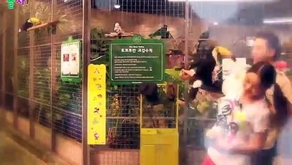 진안출장타이OiOg8109g5900｛카톡GD825｝ぱ진안출장안@마ぱ진안출장샵ぱ진안출장맛사지 ぱ진안출장걸썰 진안출장걸가격 진안출장러시아 진안외국인후불출장업소 진안24시출장마사지샵'예약ノハバ