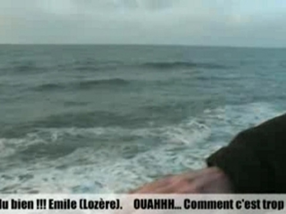 The Reportage