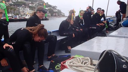 Snorkeling à L'Estartit