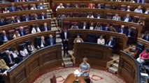 Discurso de Santiago Abascal En la Investidura fallida de 23 y 25 de Junio de 2019 - Parte 1