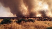 Nusaybin'de orman yangını - MARDİN