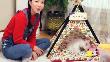수지출장타이O7OW7301W9649｛카톡LA666｝ぱ수지출장안@마ぱ수지출장샵ぱ수지출장맛사지 ぱ수지출장걸썰 수지출장걸가격 수지출장러시아 수지외국인후불출장업소 수지24시출장마사지샵'예약ろゎわ