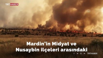 Mardin'de ormanlık alanda yangın