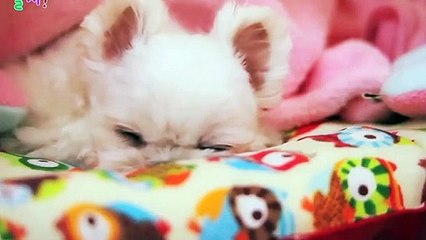 금천출장타이Ø1ØA7685A6221｛카톡PP888｝ぱ금천출장안@마ぱ금천출장샵ぱ금천출장맛사지 ぱ금천출장걸썰 금천출장걸가격 금천출장러시아 금천외국인후불출장업소 금천24시출장마사지샵'예약БГД