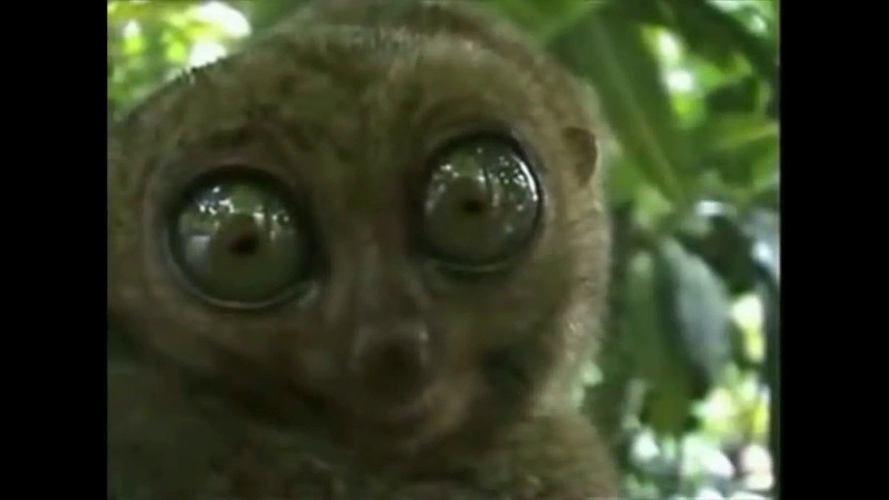 SCP containment breach ep 3 running into SCP 049