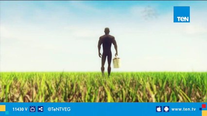 فكرة الطعن في الثوابت الدينية هي الباب الوحيد لتشويه التيار الإصلاحي