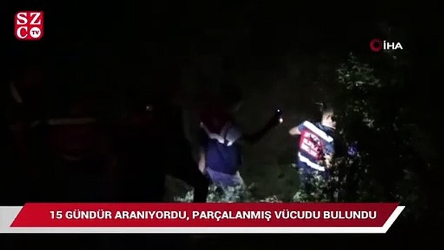 15 gündür aranan yaşlı adamın parçalanmış vücudu bulundu