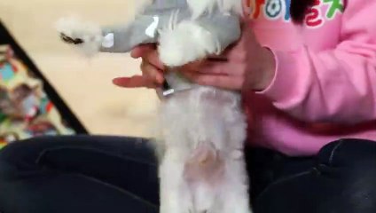 안양출장안마 -후불100%ョ O7OW7301W9649｛카톡LA25｝ 안양전지역출장안마 안양오피걸 안양출장마사지 안양안마 안양출장마사지 안양콜걸샵モャヤ
