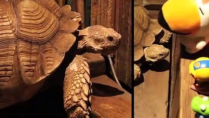 용인출장타이Ø7ØA7575A0062｛카톡DK654｝ぱ용인출장안@마ぱ용인출장샵ぱ용인출장맛사지 ぱ용인출장걸썰 용인출장걸가격 용인출장러시아 용인외국인후불출장업소 용인24시출장마사지샵'예약абв