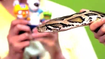 성북출장안마 -후불100%ョO7OW7333W9649｛카톡VV23} 성북전지역출장안마 성북오피걸 성북출장마사지 성북안마 성북출장마사지 성북콜걸샵※≒℃