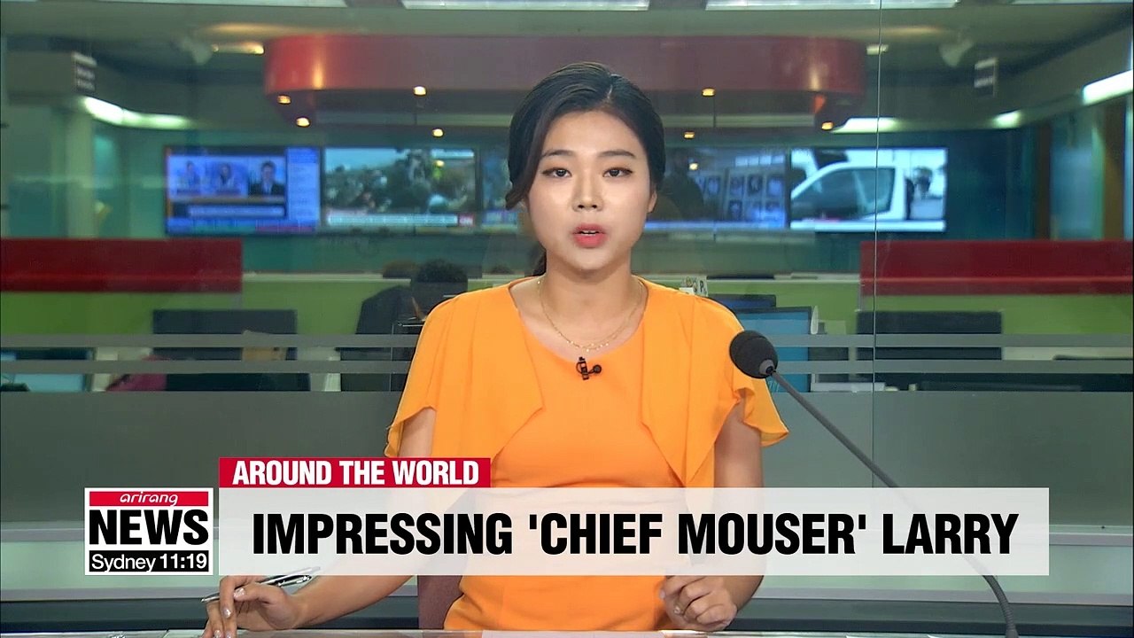 British PM Johnson looking to find dog that can get along with 'chief mouser' Larry