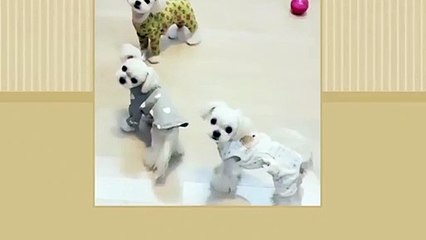 사상출장타이 OiOS2997S5327｛카톡KC789｝ぱ사상출장안@마ぱ사상출장샵ぱ사상출장맛사지 ぱ사상출장걸썰 사상출장걸가격 사상출장러시아 사상외국인후불출장업소 사상24시출장마사지샵'예약モャヤ