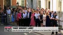At the residence of 10 Downing Street in London,... one key cabinet member serves the British Prime Minister by kicking out mice. Our Park Hee-jun has the details on Larry,... the 'Chief Mouser to the Cabinet Office'.  As Britain's new Prime Minister Bori