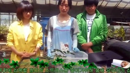 시흥출장타이Ø7ØA7575A0069｛카톡CC6969｝ぱ시흥출장안@마ぱ시흥출장샵ぱ시흥출장맛사지 ぱ시흥출장걸썰 시흥출장걸가격 시흥출장러시아 시흥외국인후불출장업소 시흥24시출장마사지샵'예약ゼソゾ