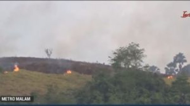 Puluhan Hektare Lahan Gambut di Flores Timur Terbakar