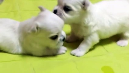 해운대출장안마 -후불100%ョOiOE7362E3210｛카톡BB5858｝ 해운대전지역출장안마 해운대오피걸 해운대출장마사지 해운대안마 해운대출장마사지 해운대콜걸샵スズセ